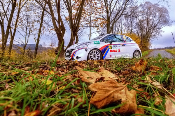 #47 Večerka Tomáš, Večerka M., CZE, Peugeot 208 R2